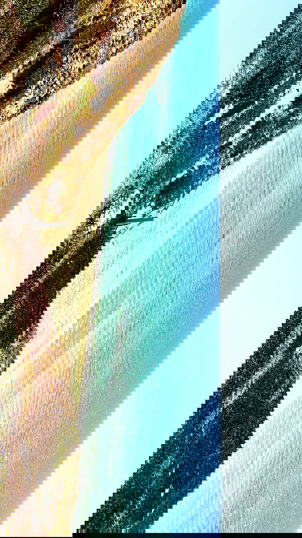 yeela__ yeela__ archive image