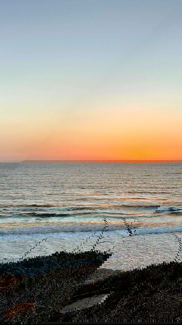 yeela__ yeela__ archive image