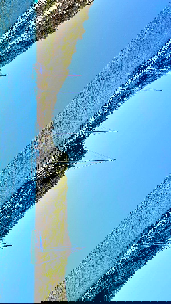 yeela__ yeela__ archive image