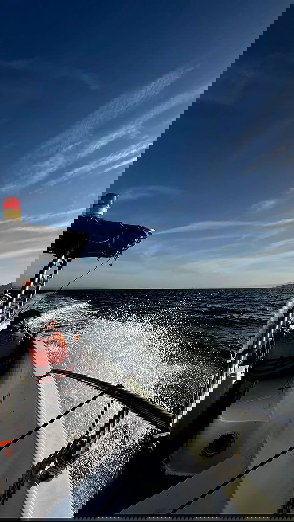 yeela__ yeela__ archive image