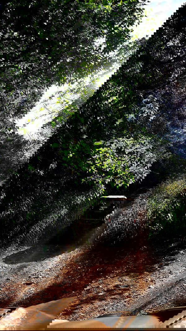 yemada yemada archive image