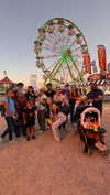 yenichaxx.407 Altpins Profile Picture