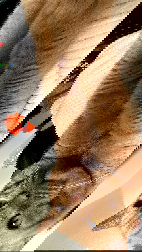 yoo.mon yoo.mon archive image