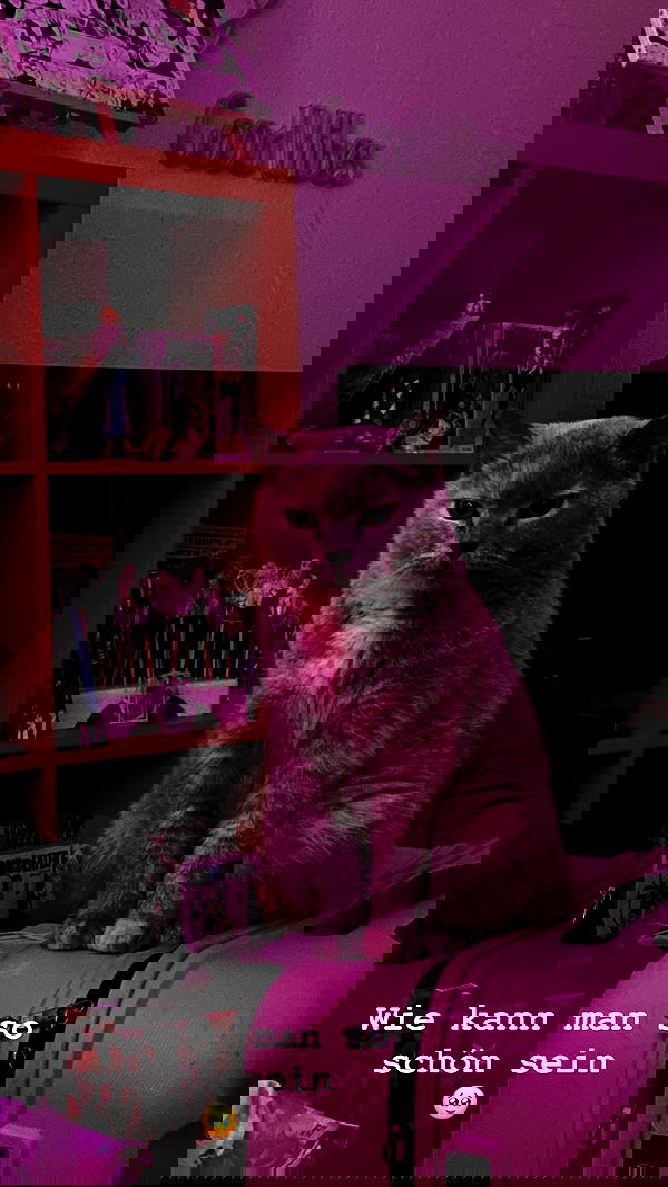 yoo.mon yoo.mon archive image