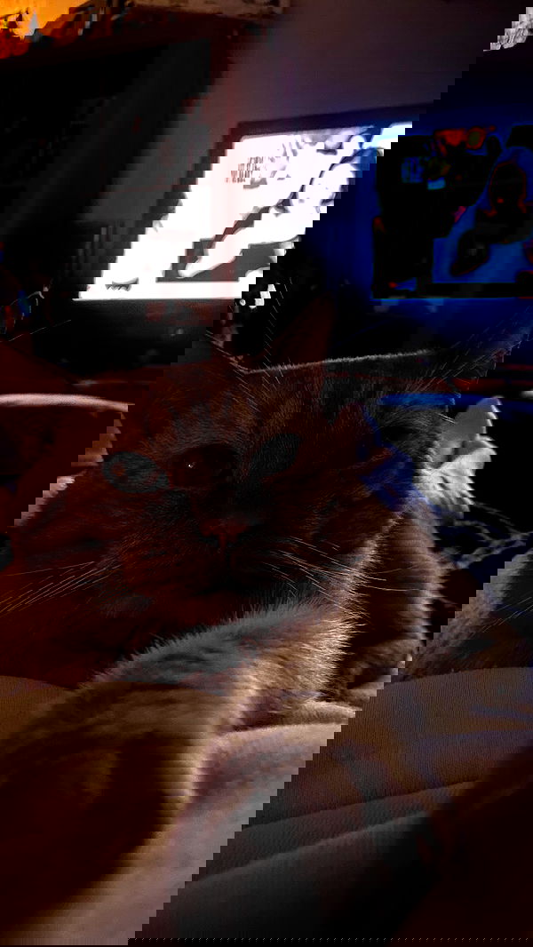 yoo.mon yoo.mon archive image