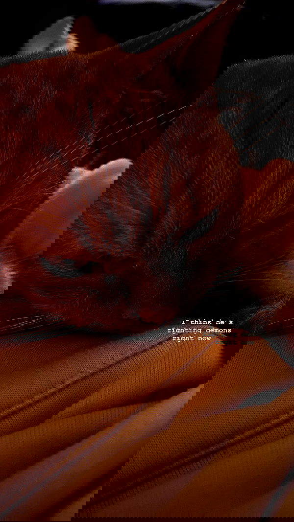 yoo.mon yoo.mon archive image