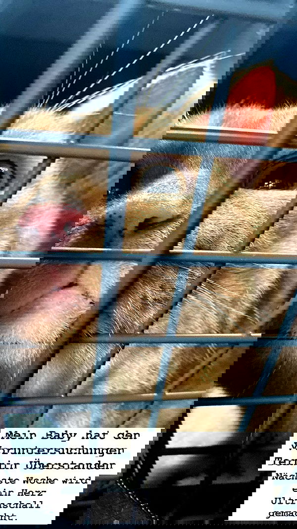 yoo.mon yoo.mon archive image