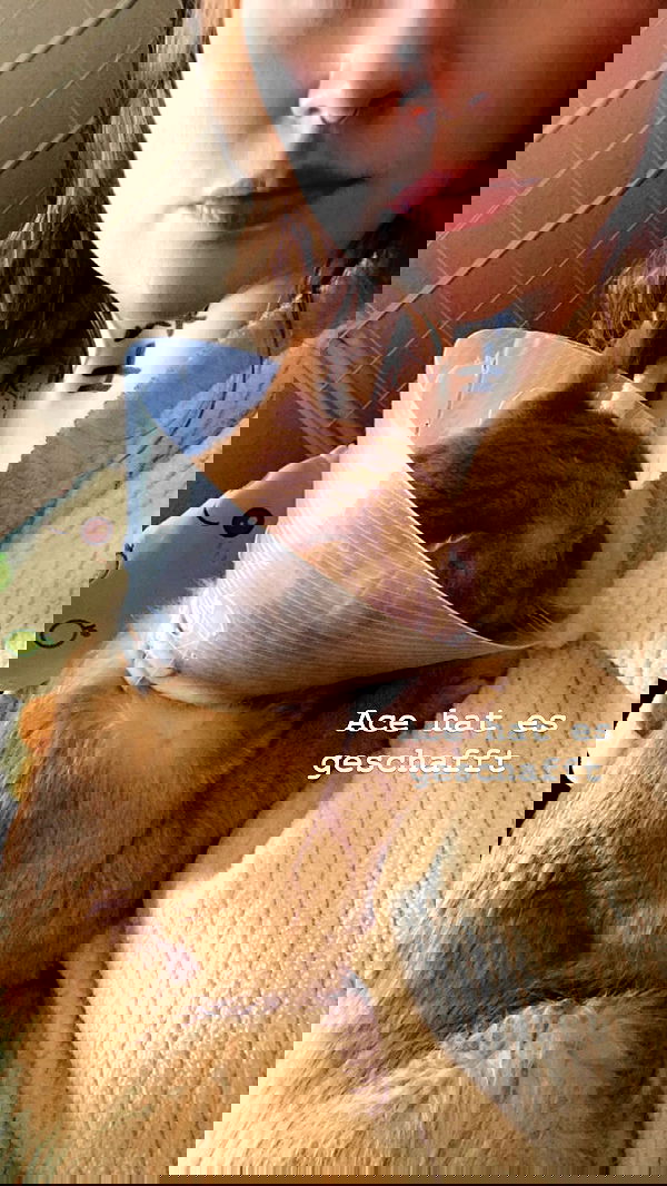 yoo.mon yoo.mon archive image