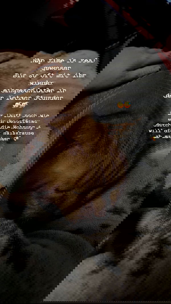 yoo.mon yoo.mon archive image