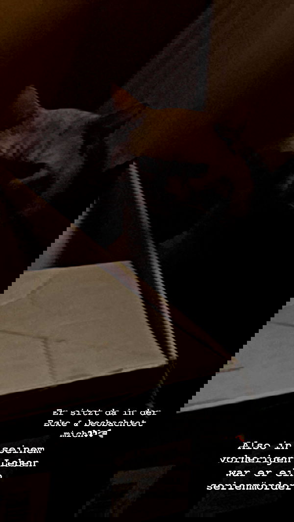 yoo.mon yoo.mon archive image