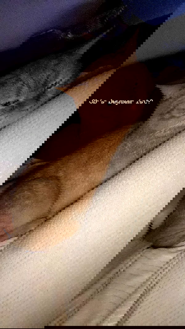 yoo.mon yoo.mon archive image