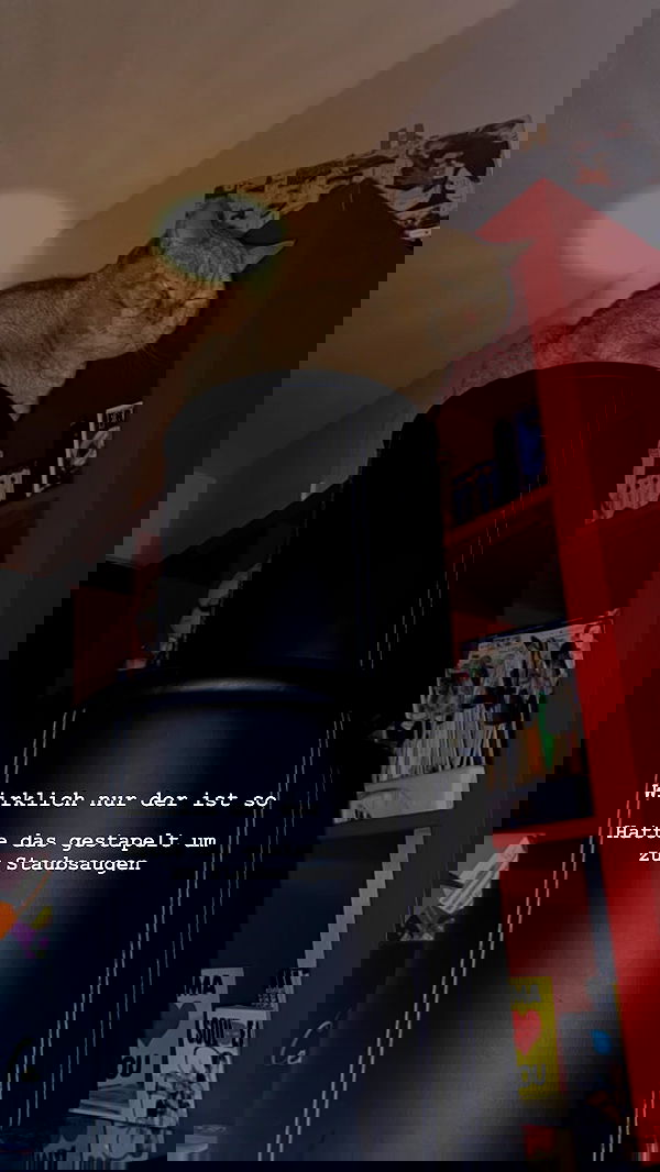 yoo.mon yoo.mon archive image