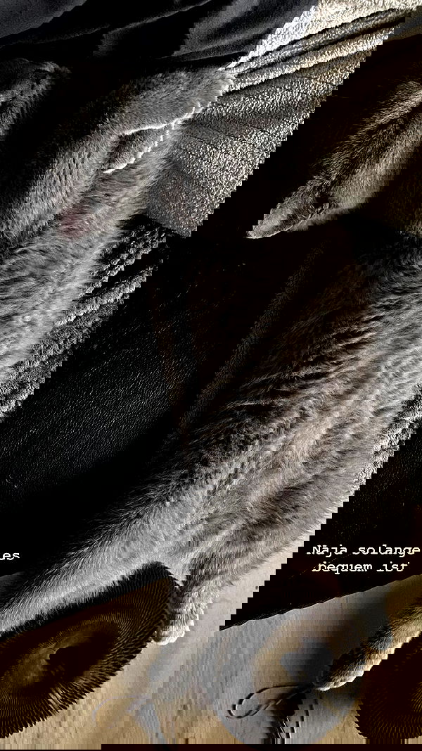 yoo.mon yoo.mon archive image