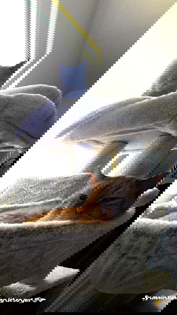 yoo.mon yoo.mon archive image