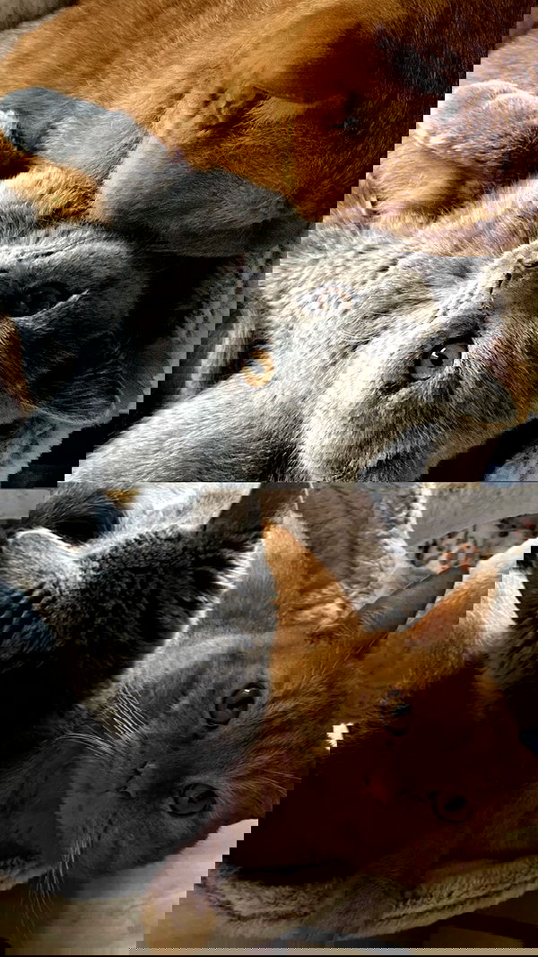 yoo.mon yoo.mon archive image