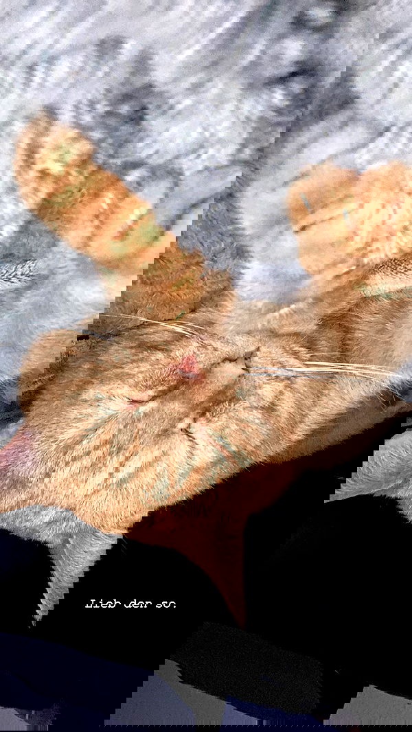 yoo.mon yoo.mon archive image