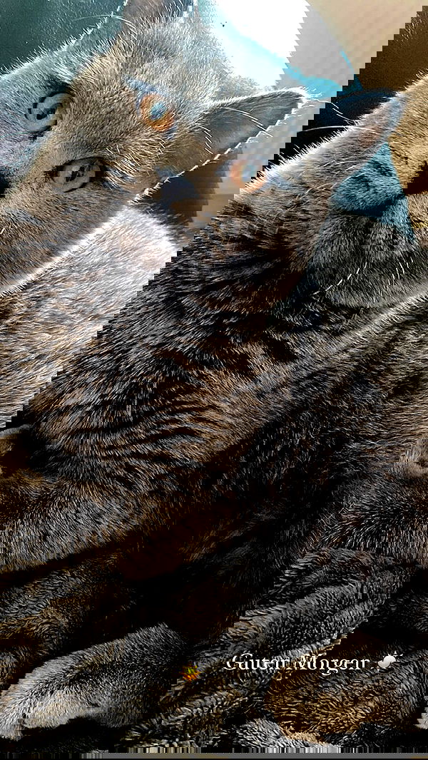 yoo.mon yoo.mon archive image