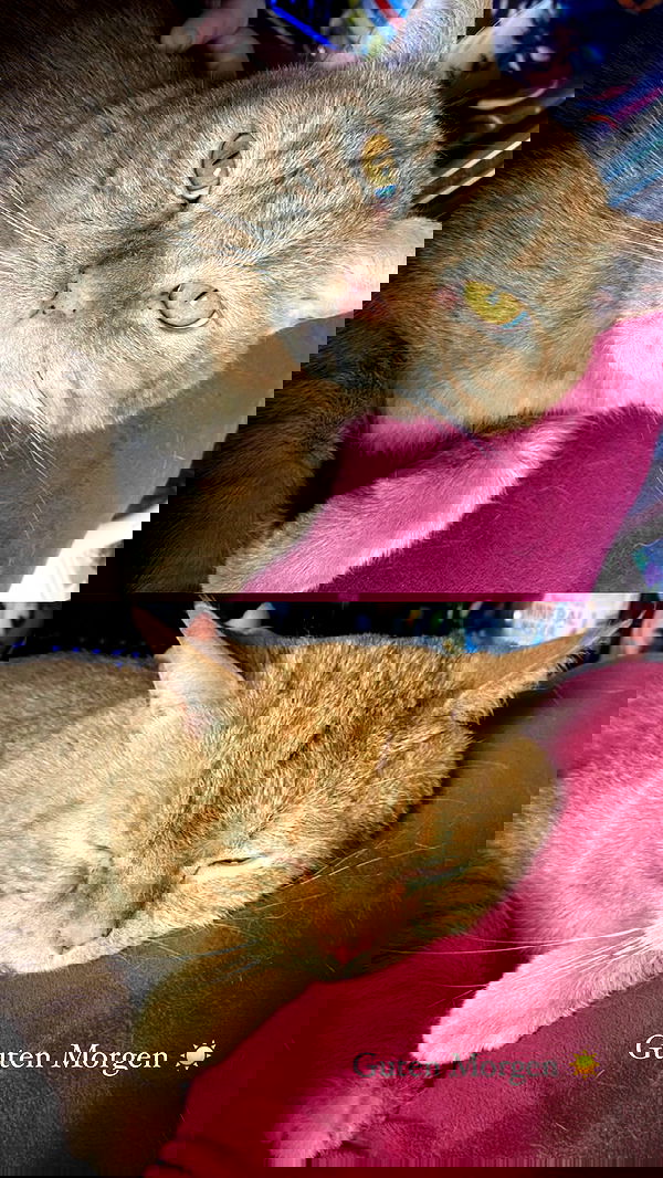 yoo.mon yoo.mon archive image