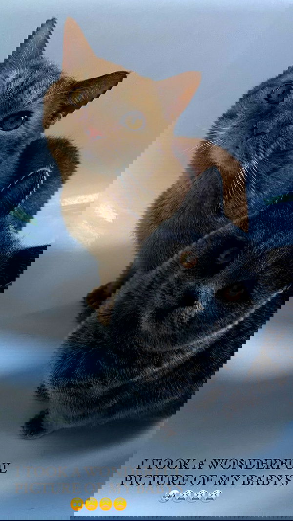 yoo.mon yoo.mon archive image