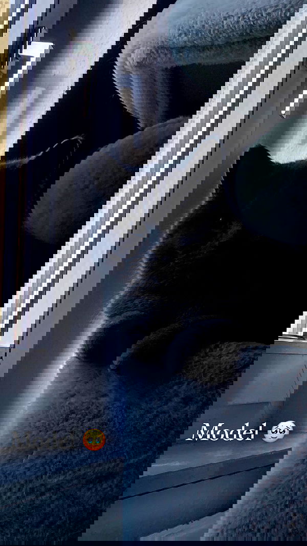 yoo.mon yoo.mon archive image