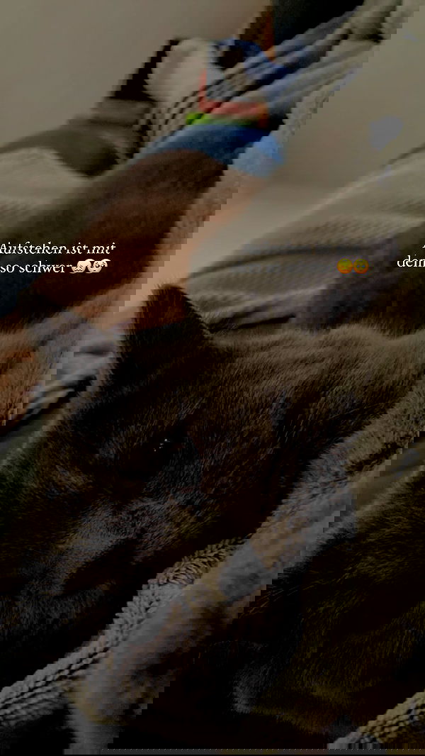 yoo.mon yoo.mon archive image