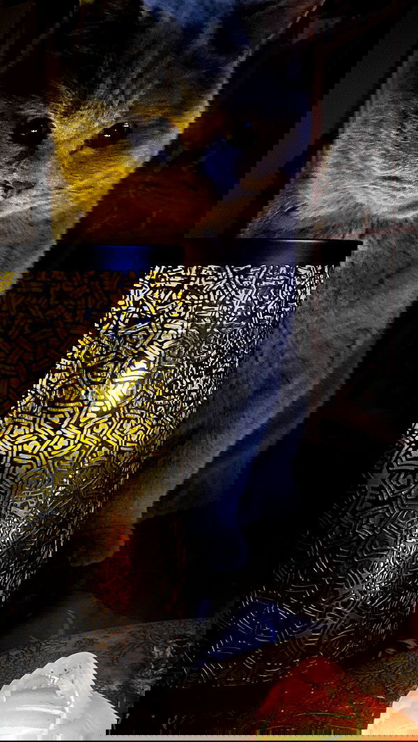 yoo.mon yoo.mon archive image