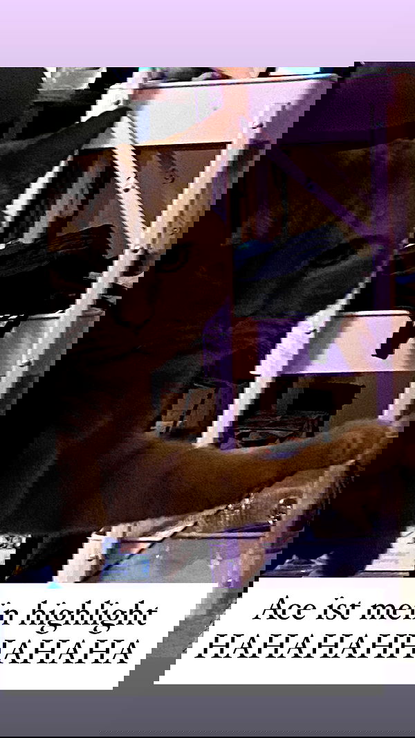 yoo.mon yoo.mon archive image