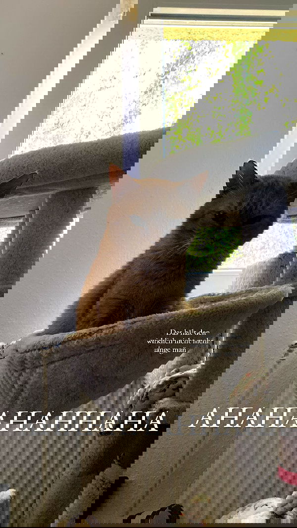 yoo.mon yoo.mon archive image