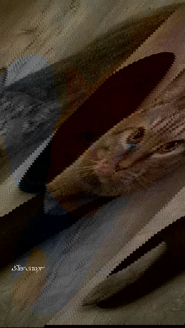 yoo.mon yoo.mon archive image