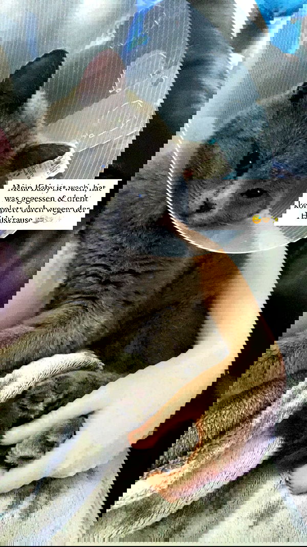 yoo.mon yoo.mon archive image