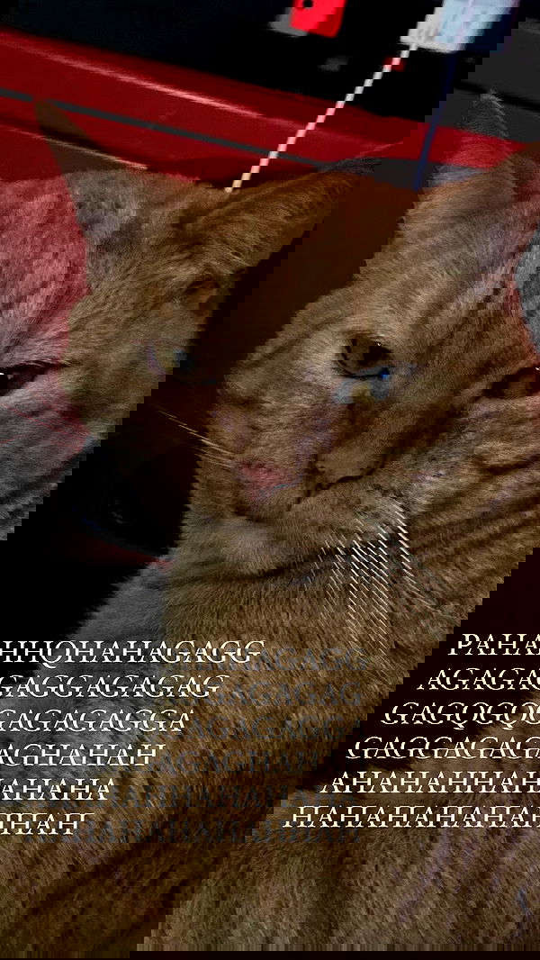 yoo.mon yoo.mon archive image