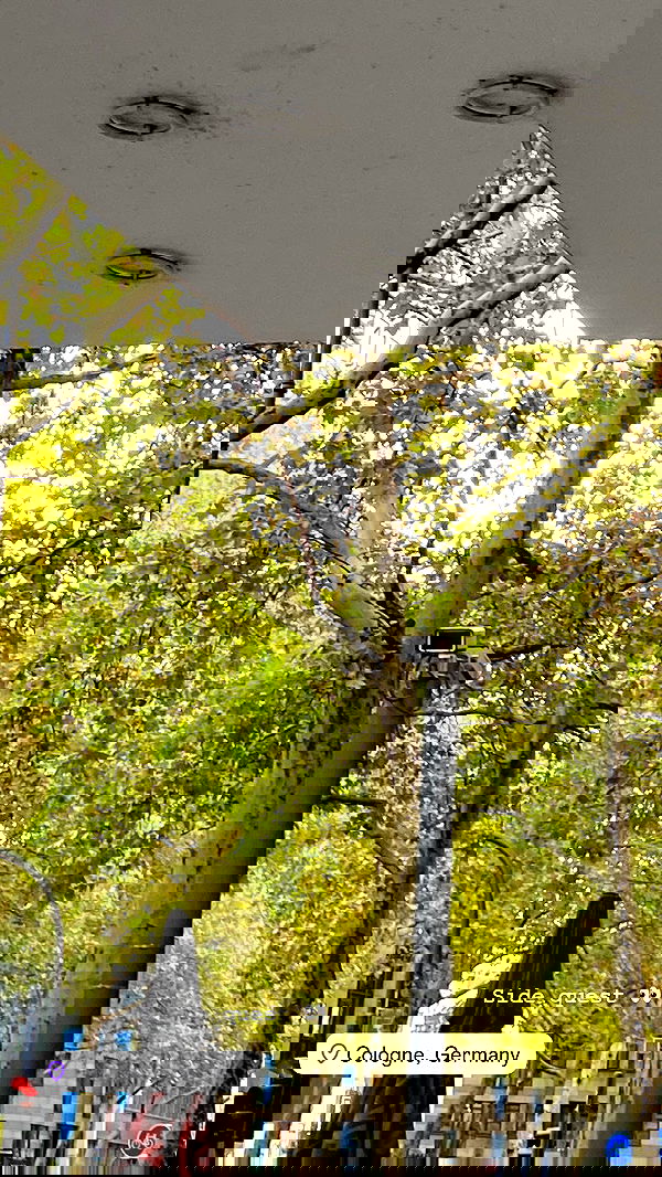 yoo.mon yoo.mon archive image