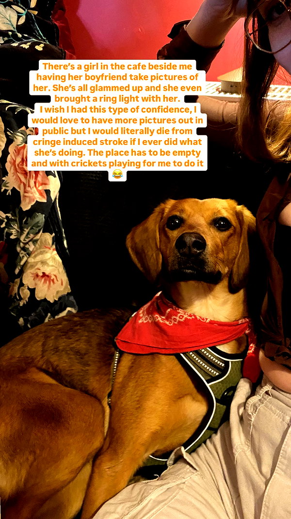 yourlittlemaya instagram image archive image