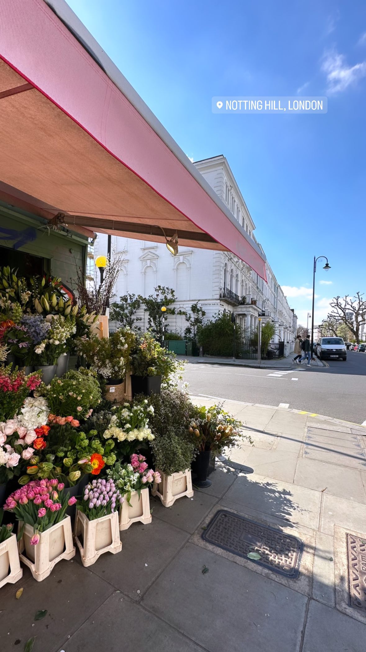 yuli.cohenn instagram image archive image