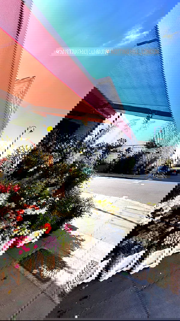 yuli.cohenn image ~ Altpins