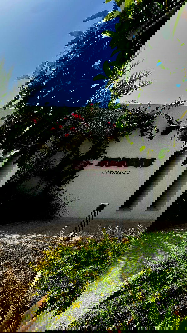 yuli.cohenn image ~ Altpins