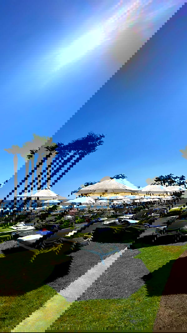 yuli.cohenn image ~ Altpins