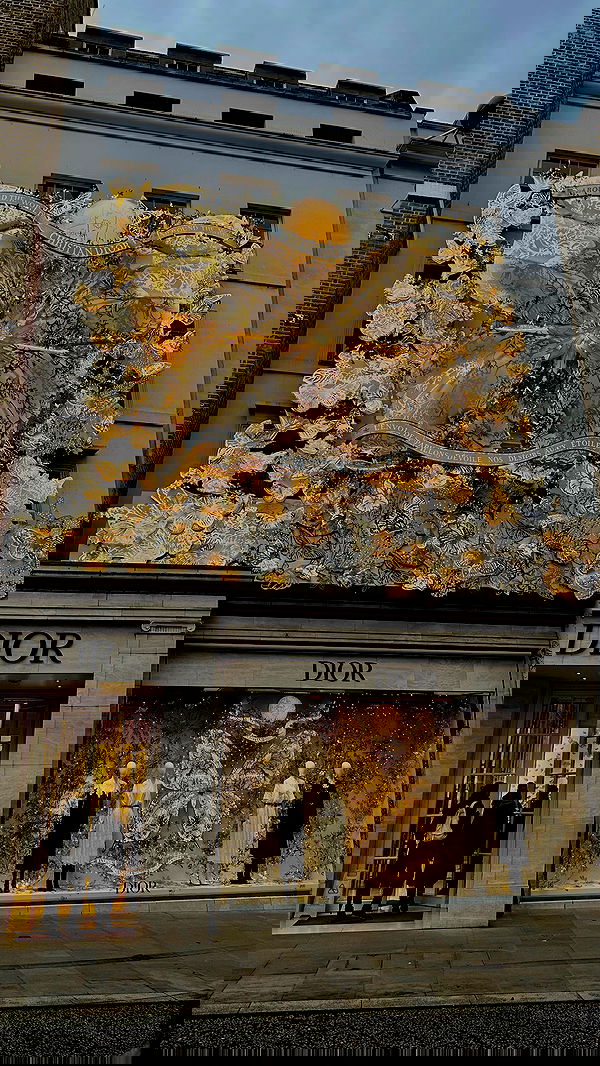 yuli.cohenn image ~ Altpins