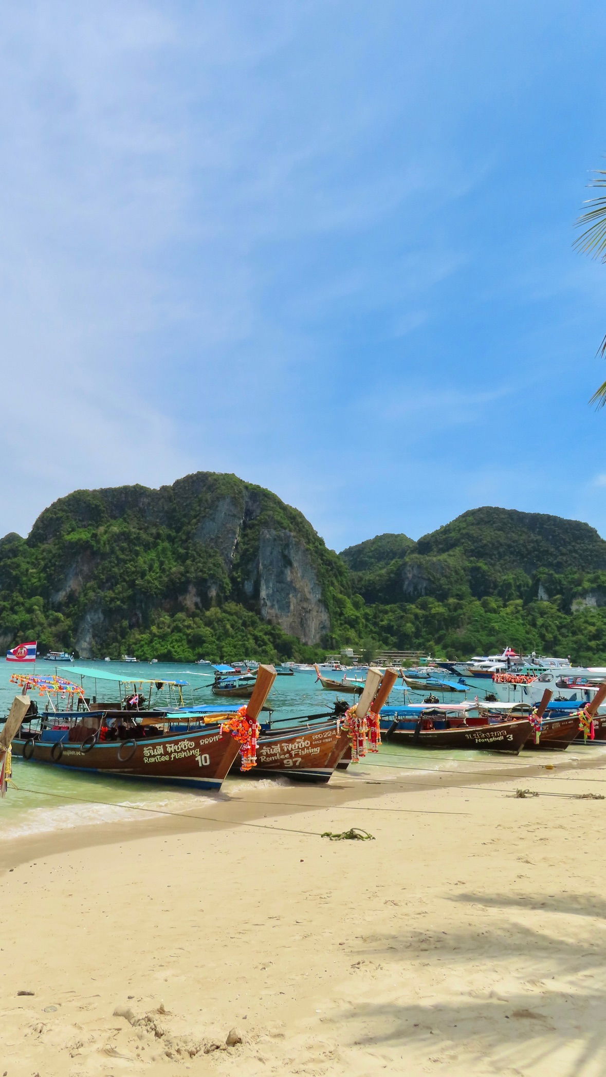 yuli.cohenn instagram image archive image