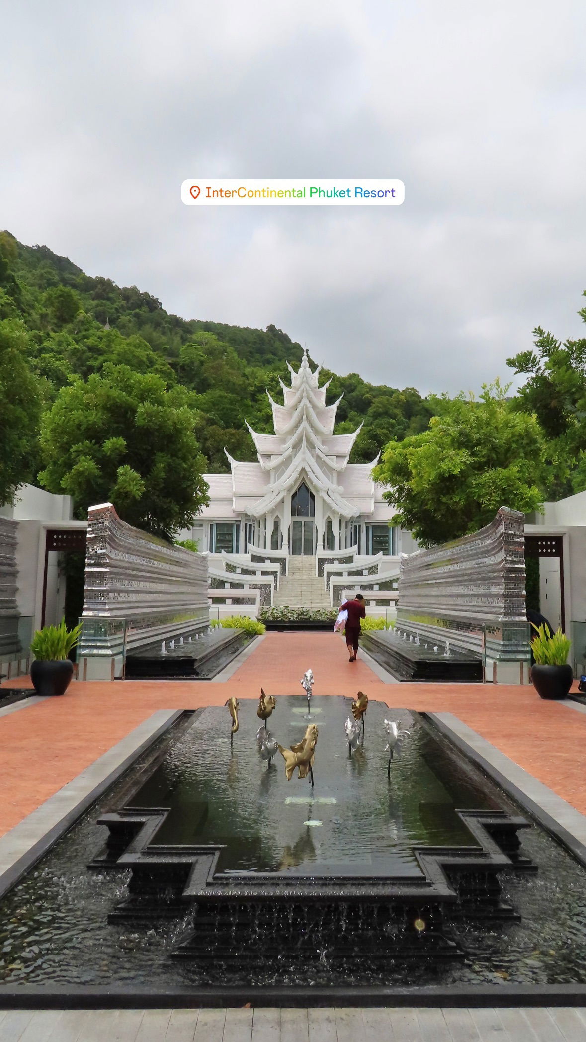 yuli.cohenn instagram image archive image