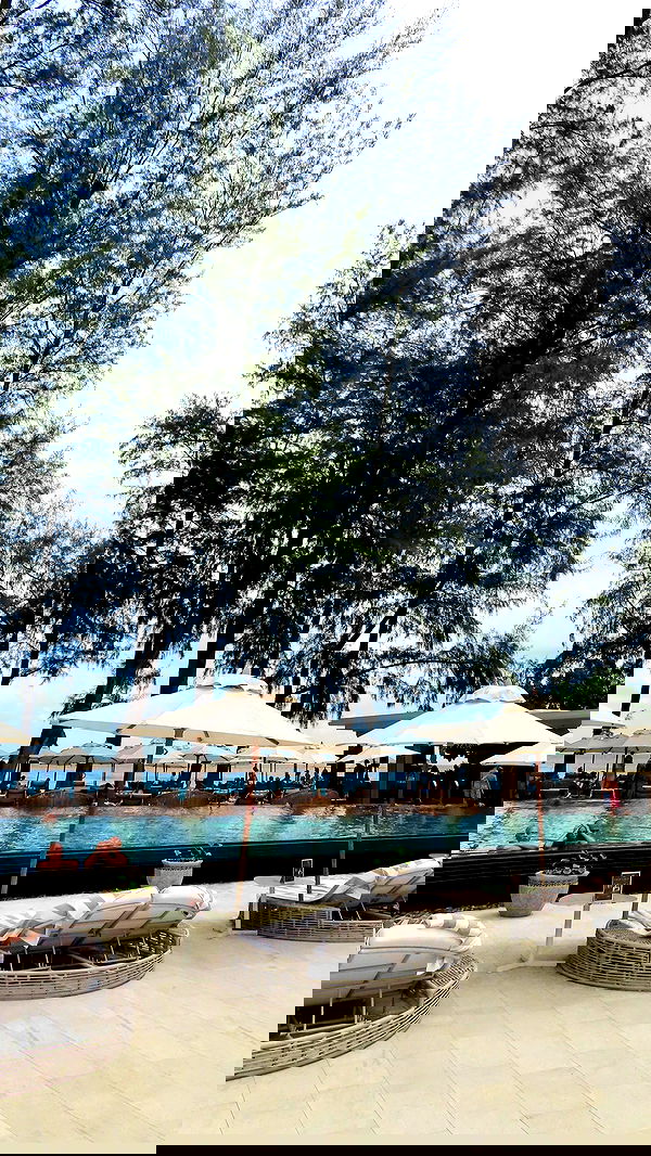 yuli.cohenn image ~ Altpins