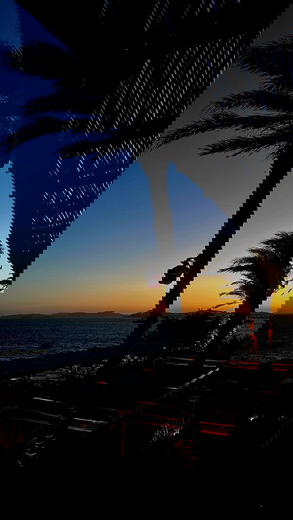 yuli.cohenn image ~ Altpins