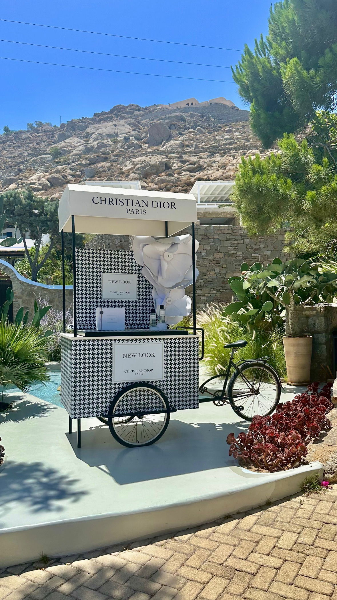 yuli.cohenn instagram image archive image