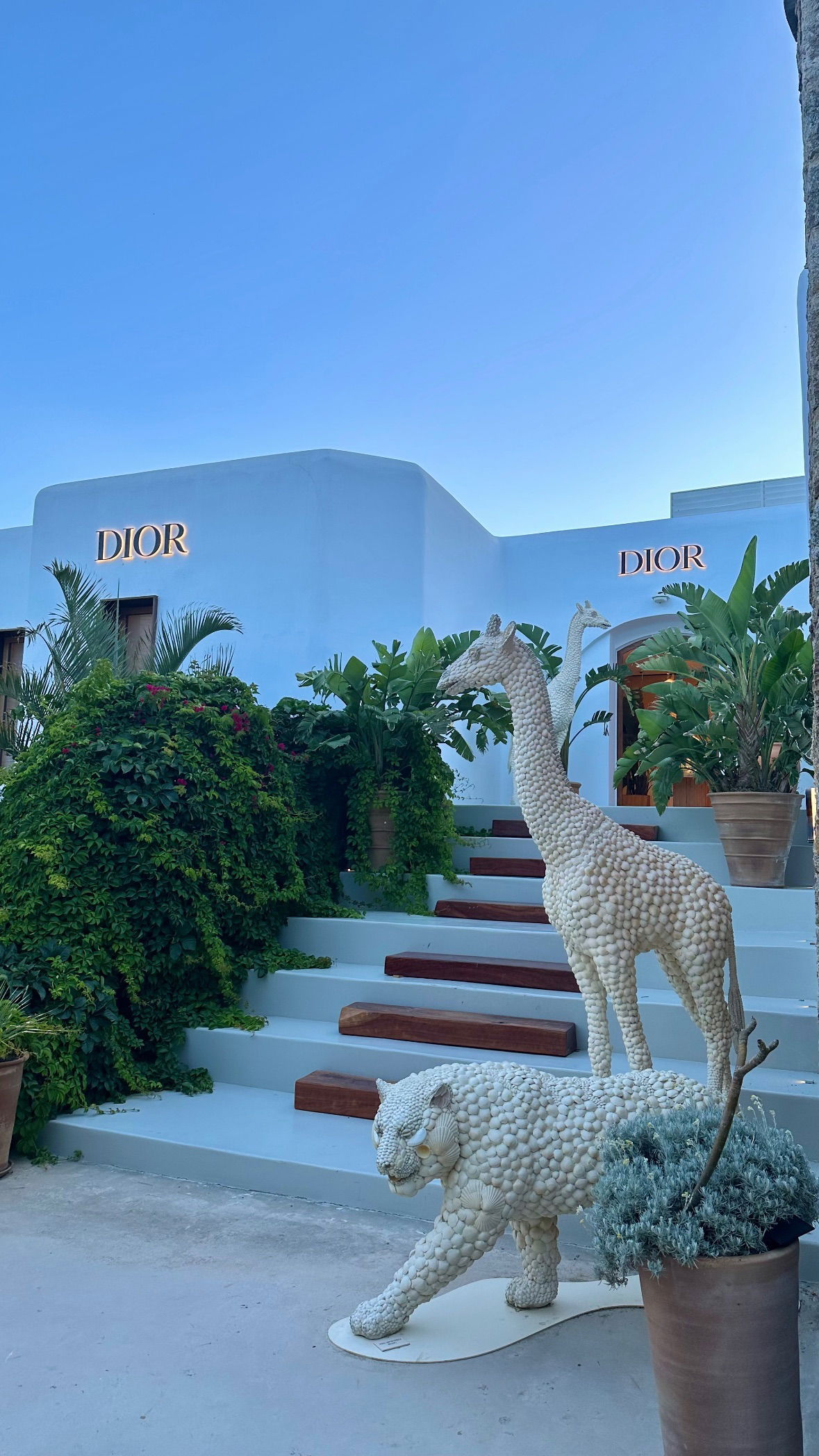 yuli.cohenn instagram image archive image