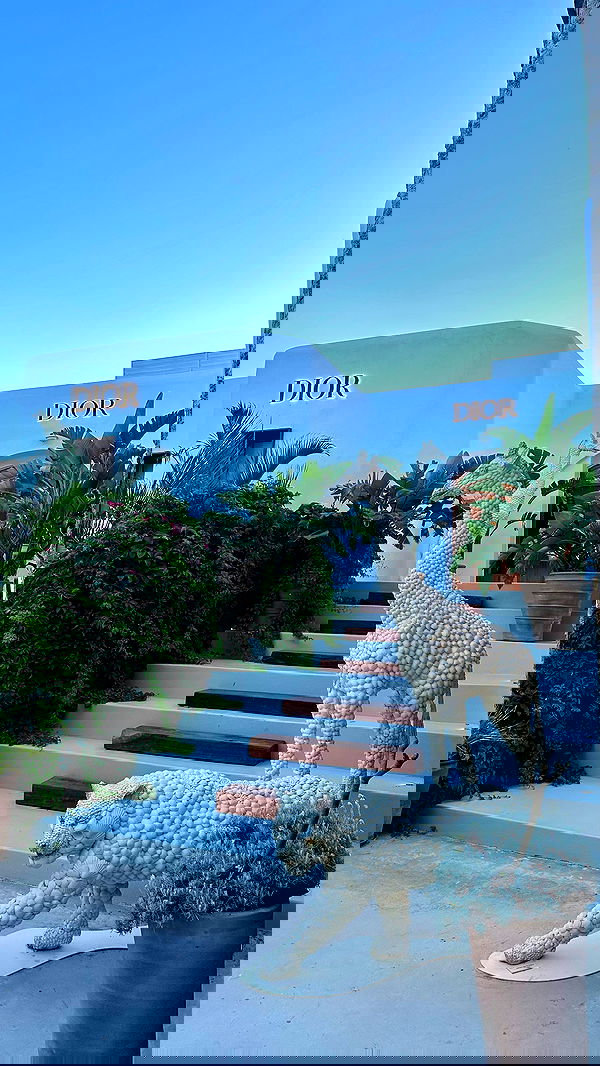 yuli.cohenn image ~ Altpins