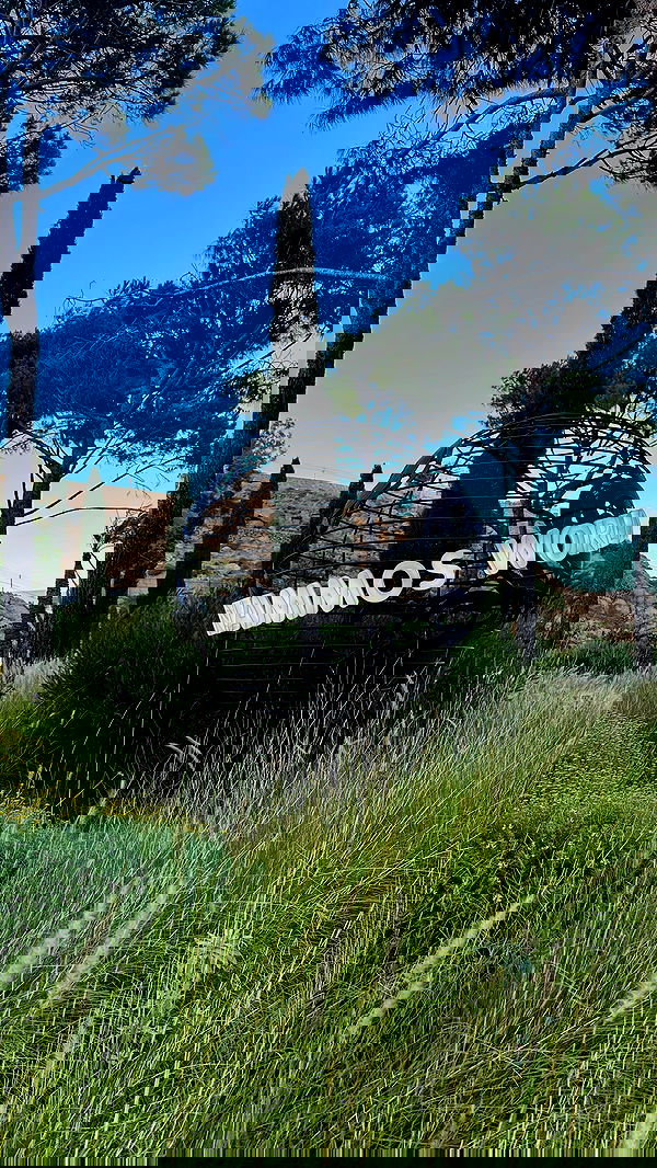 yuli.cohenn image ~ Altpins