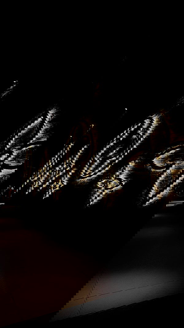 yuli.cohenn image ~ Altpins