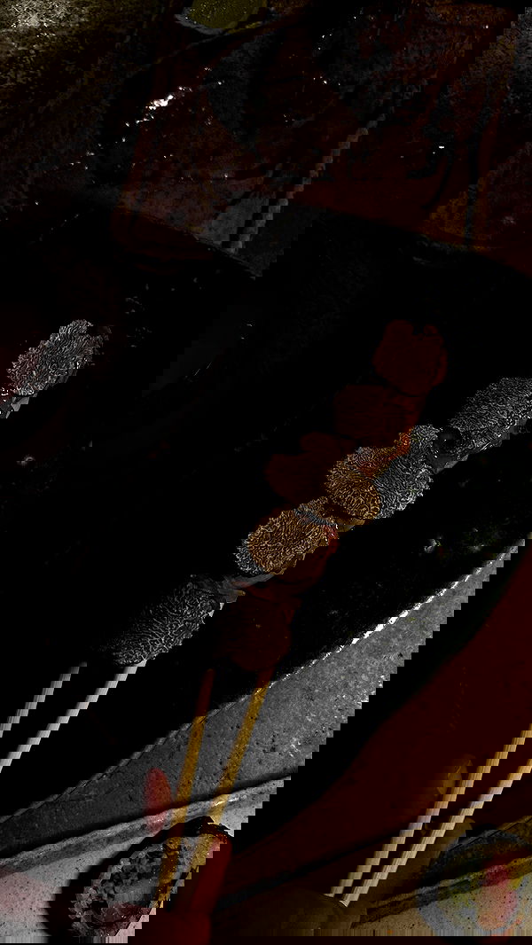 yuli.cohenn image ~ Altpins