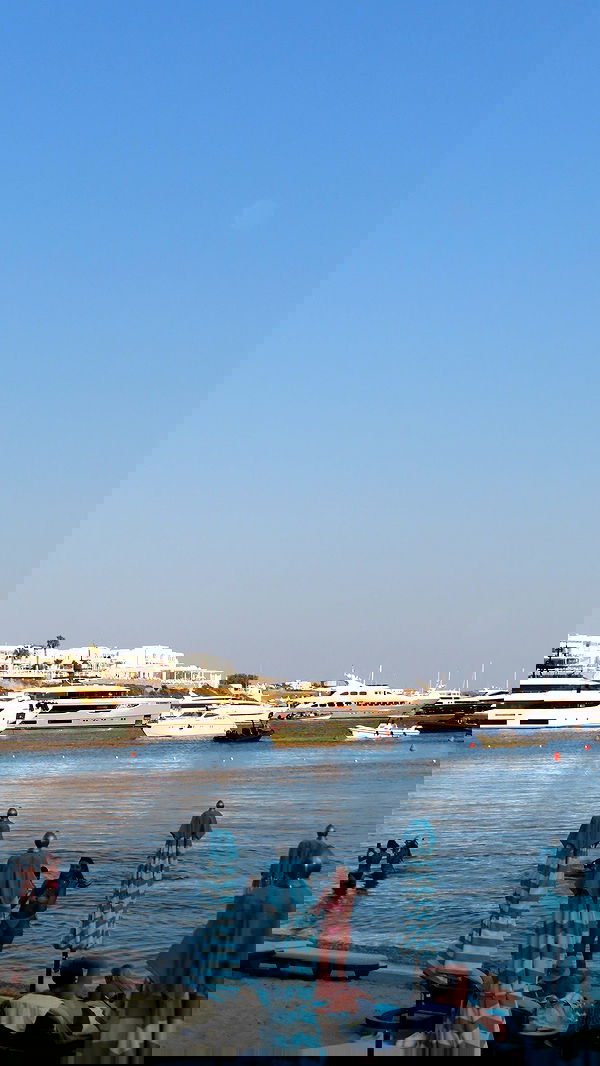 yuli.cohenn image ~ Altpins