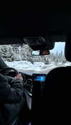 yuli.cohenn Altpins Profile Picture